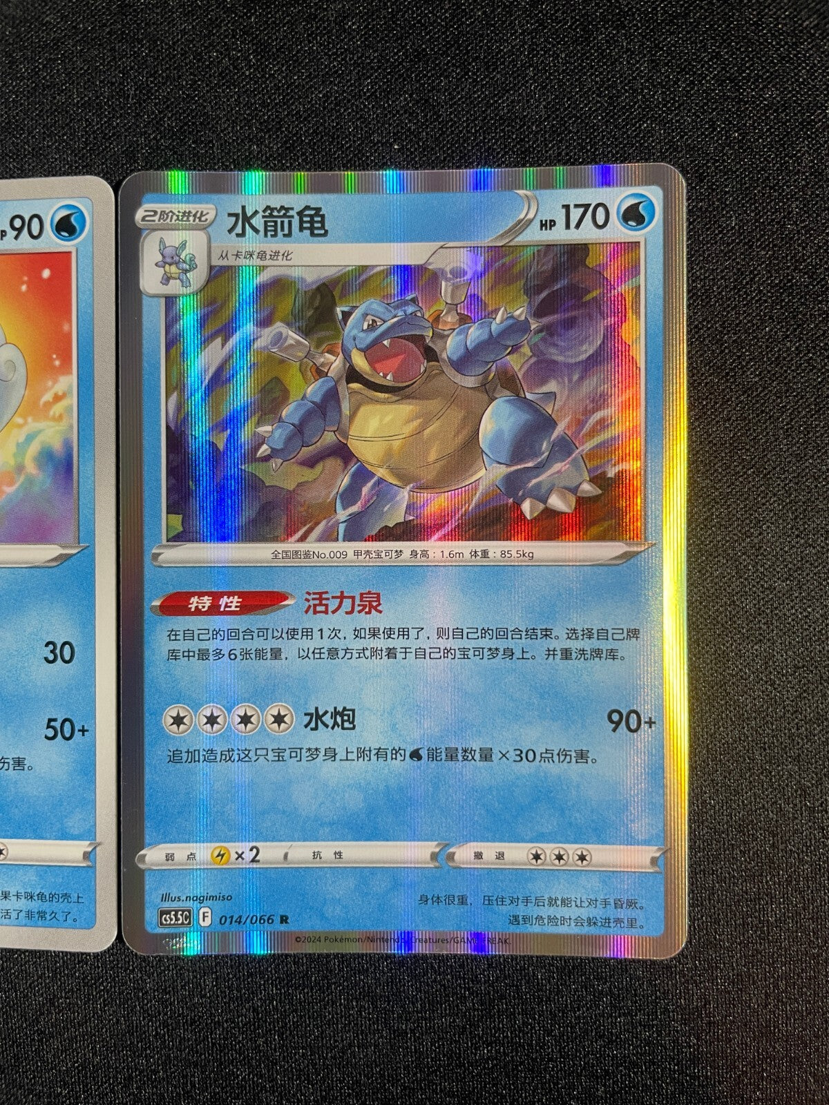 Blastoise Evolution Line 012-014/066 Pokemon GO Simplified Chinese Exclusive Art