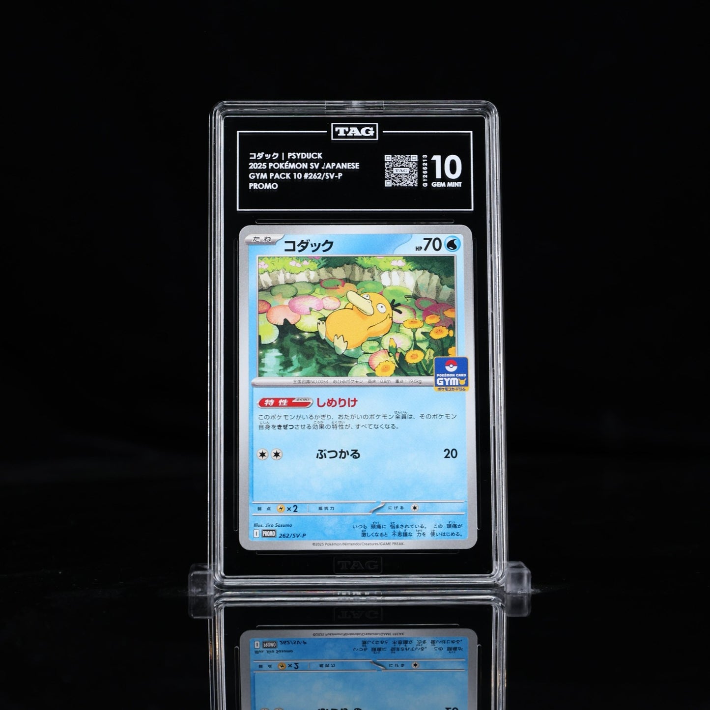 TAG 10 - Psyduck 262/SV-P Gym Pack Promo - Pokemon Scarlet & Violet Japanese