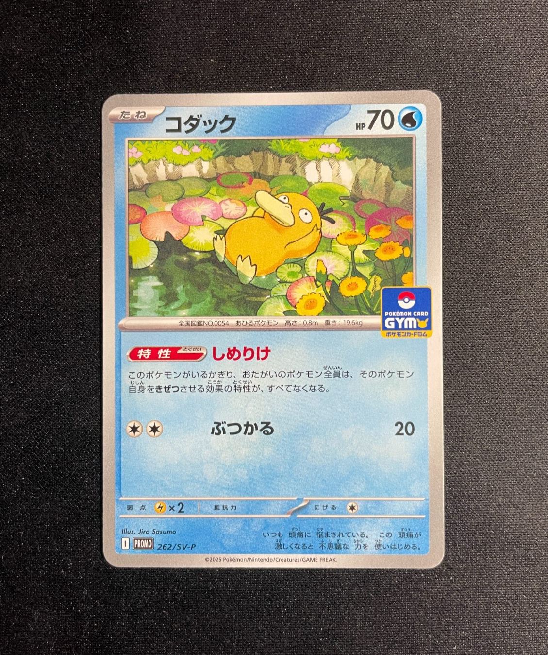 Psyduck 262/SV-P Gym Pack Promo - Pokemon Scarlet Violet Japanese - NM
