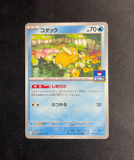 Psyduck 262/SV-P Gym Pack Promo - Pokemon Scarlet Violet Japanese - NM