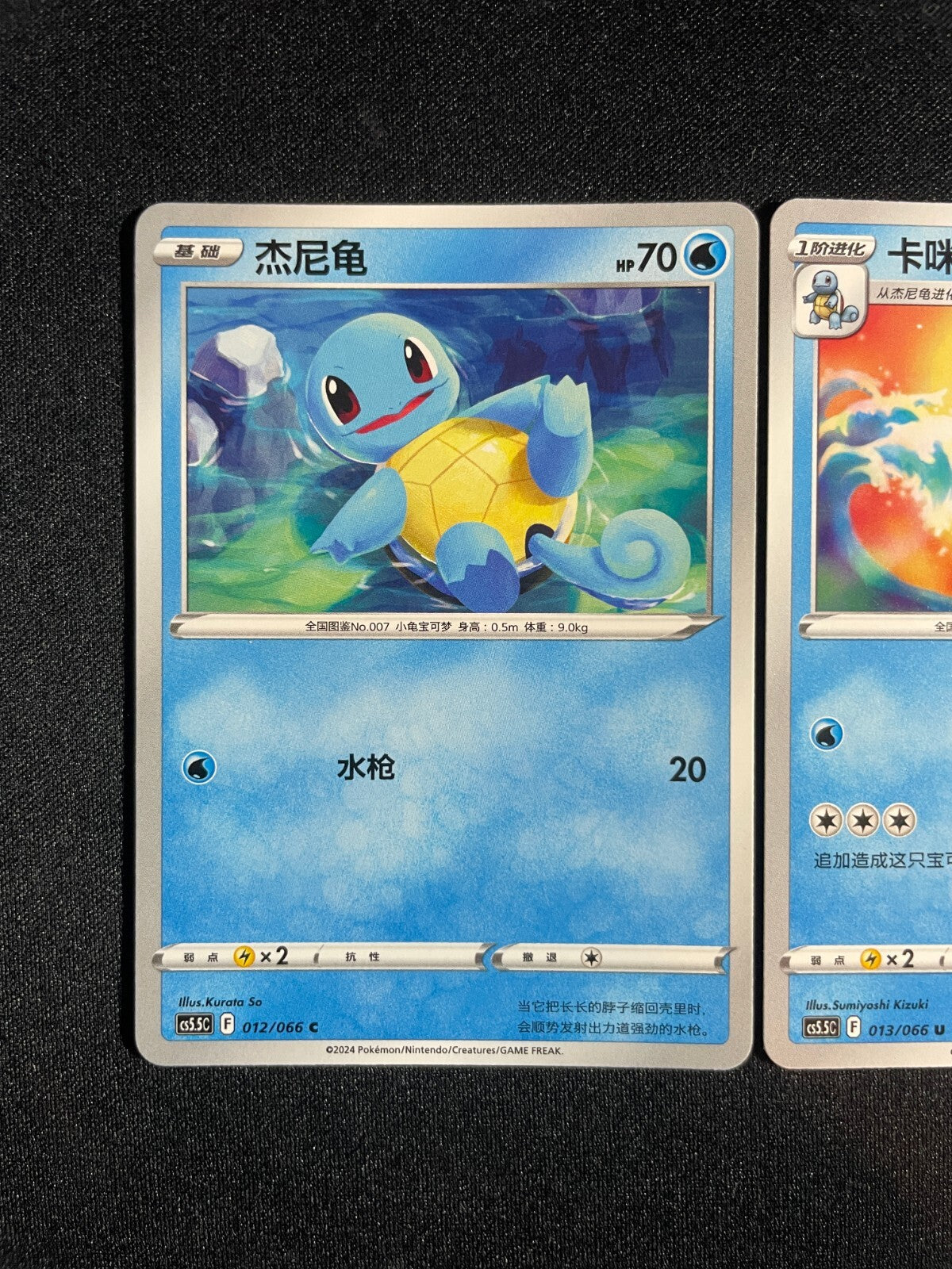 Blastoise Evolution Line 012-014/066 Pokemon GO Simplified Chinese Exclusive Art