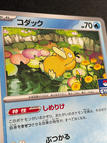 Psyduck 262/SV-P Gym Pack Promo - Pokemon Scarlet Violet Japanese - NM