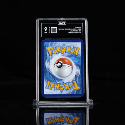 TAG 9 - Squirtle 170/165 Illustration Rare  Pokemon 151 English Scarlet & Violet