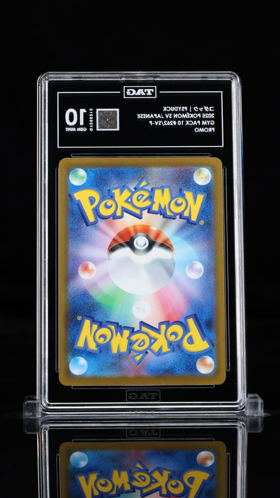 TAG 10 - Psyduck 262/SV-P Gym Pack Promo - Pokemon Scarlet & Violet Japanese