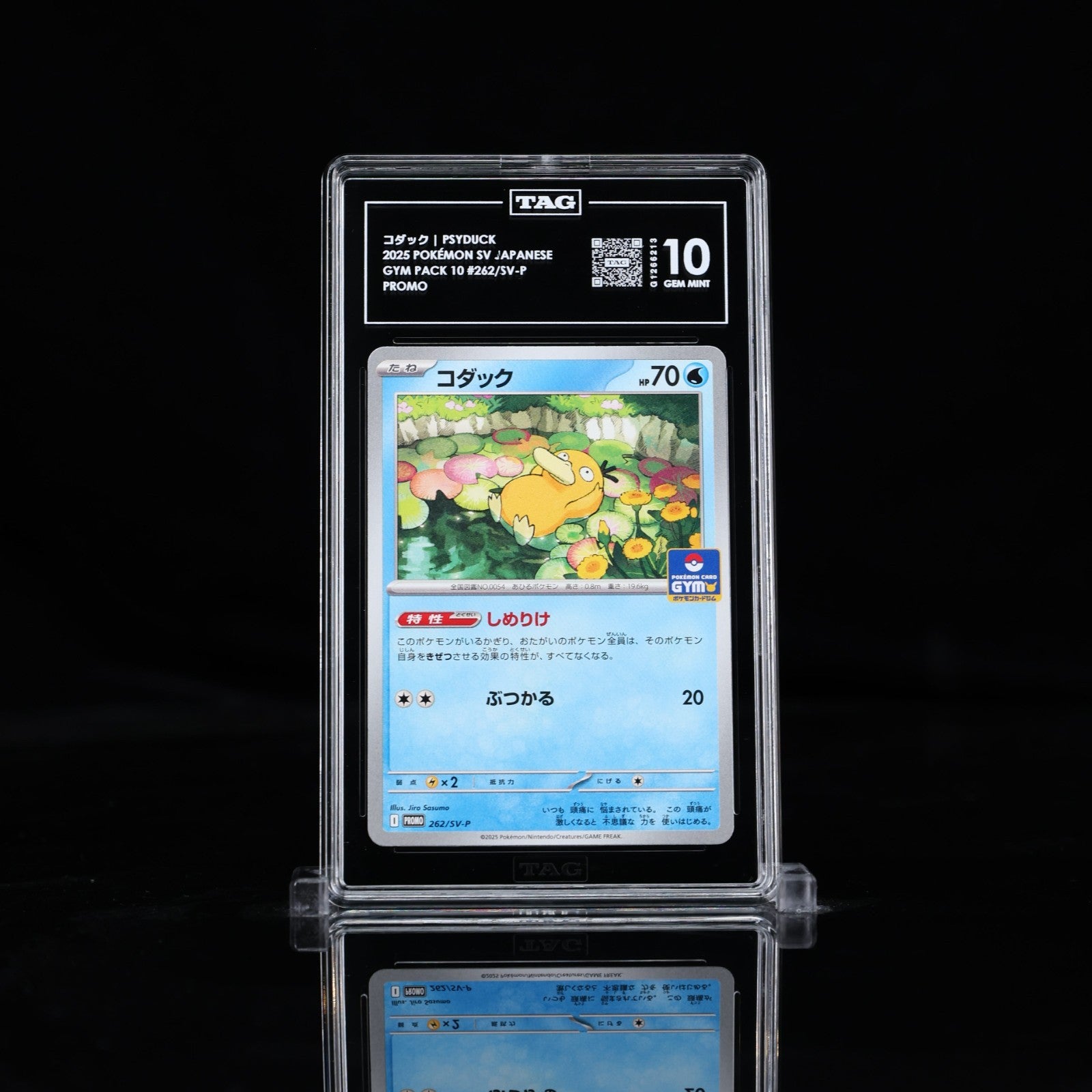 TAG 10 - Psyduck 262/SV-P Gym Pack Promo - Pokemon Scarlet & Violet Japanese