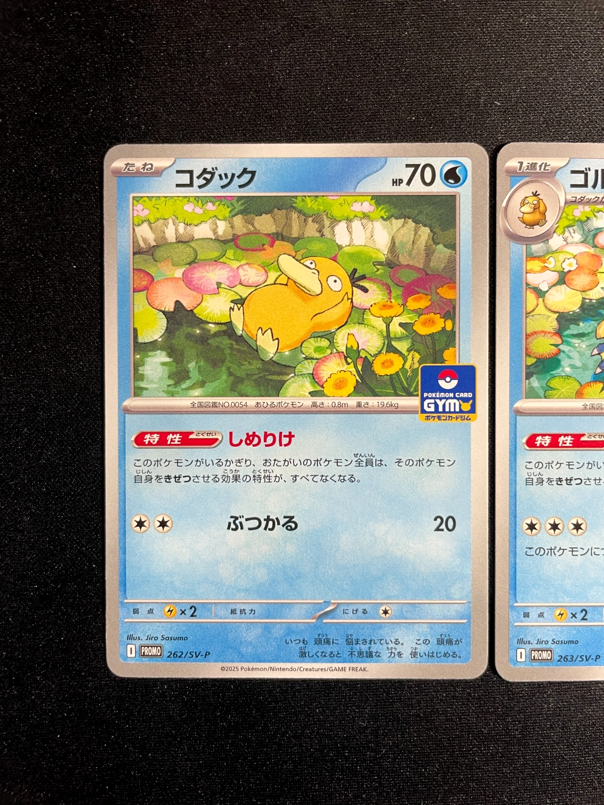 Psyduck 262/SV-P & Golduck 263/SVP - Gym Promos Pokemon Scarlet Violet Japanese
