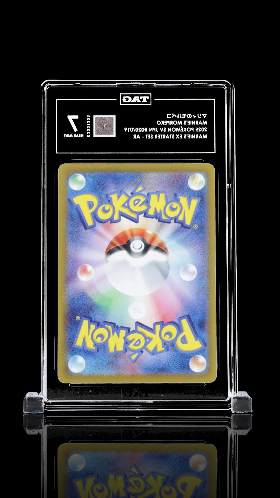TAG 7 - Marnie's Morpeko 020/019 Art Rare Promo - Pokemon Japanese sv0M Deck