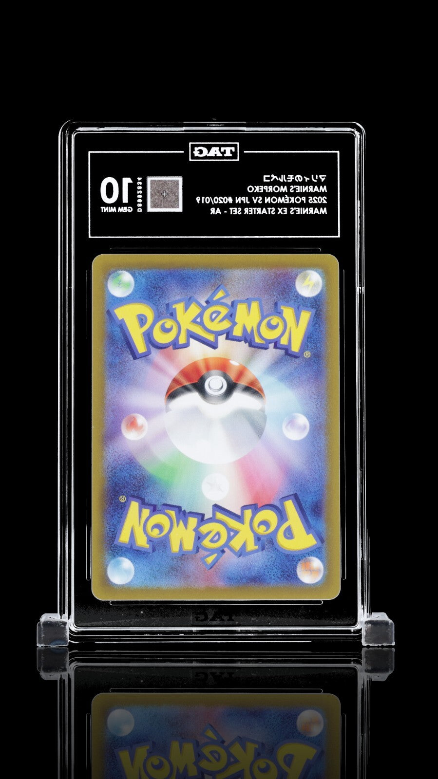 TAG 10 - Marnie's Morpeko 020/019 Art Rare Promo - Pokemon Japanese sv0M Deck