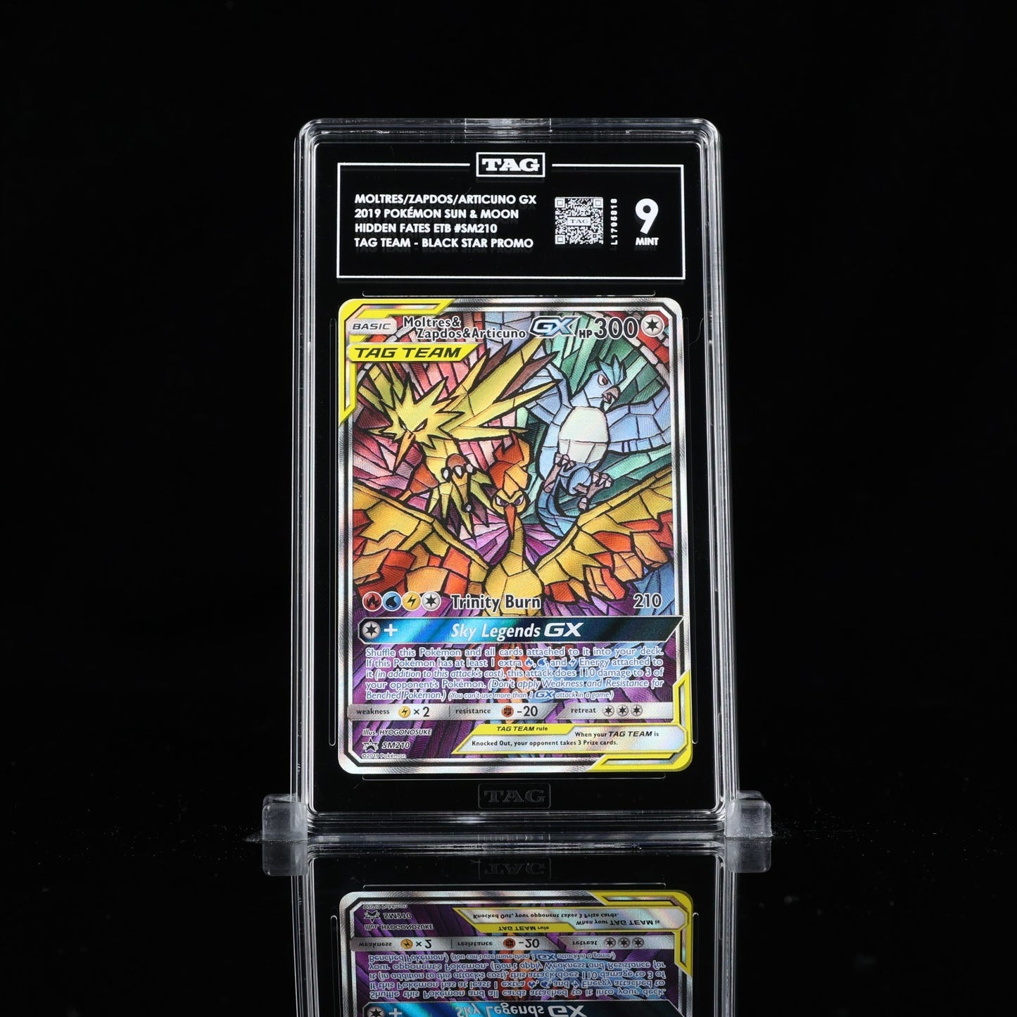 TAG 9 - Moltres & Zapdos & Articuno GX SM210 Hidden Fates ETB Promo Pokemon TCG